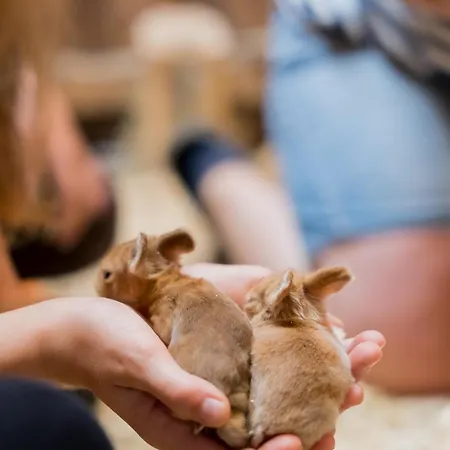Fachwerkhaus - Westen Oben - Bauernhof Hopp Vadersdorf Appartamento *