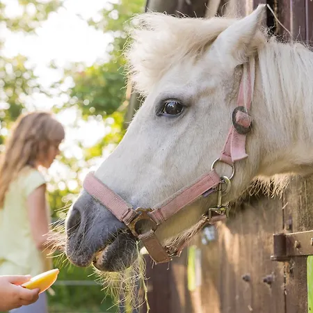 Fachwerkhaus - Westen Oben - Bauernhof Hopp Vadersdorf Appartamento Fehmarn