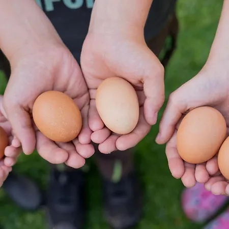 Appartamento Fachwerkhaus - Westen Oben - Bauernhof Hopp Vadersdorf *
