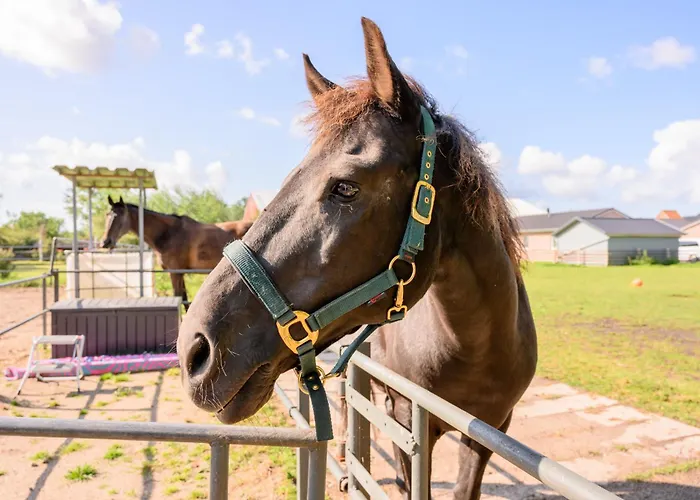Fachwerkhaus - Westen Oben - Bauernhof Hopp Vadersdorf * Fehmarn