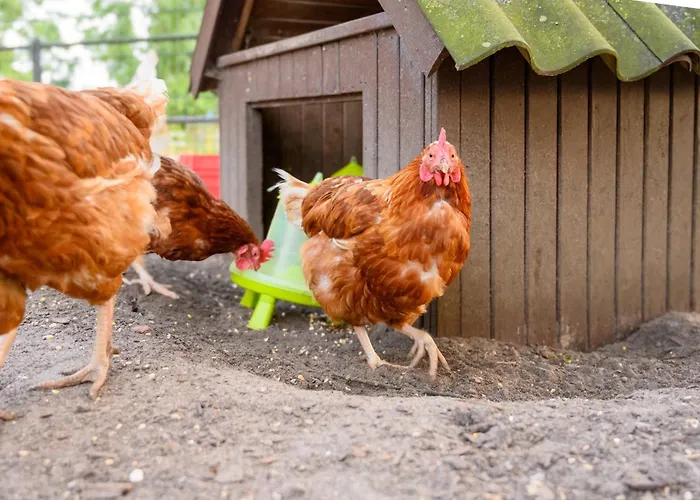 Fachwerkhaus - Westen Oben - Bauernhof Hopp Vadersdorf Appartement *