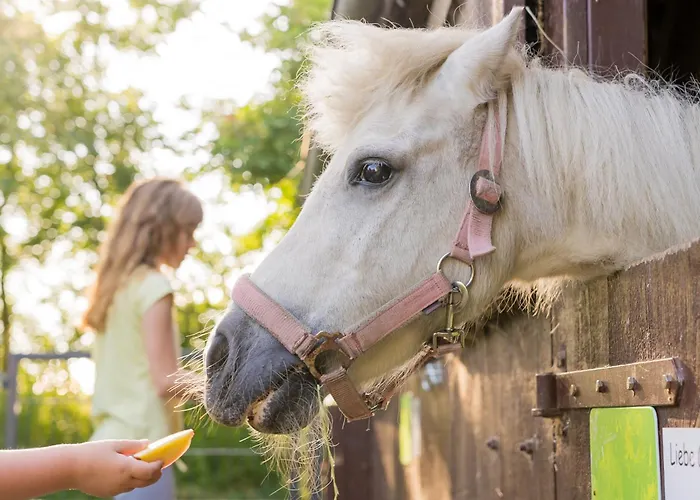 Fachwerkhaus - Westen Oben - Bauernhof Hopp Vadersdorf Appartement Fehmarn